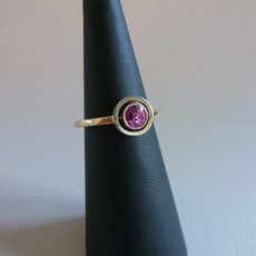 Bicolor gouden ring met robijn